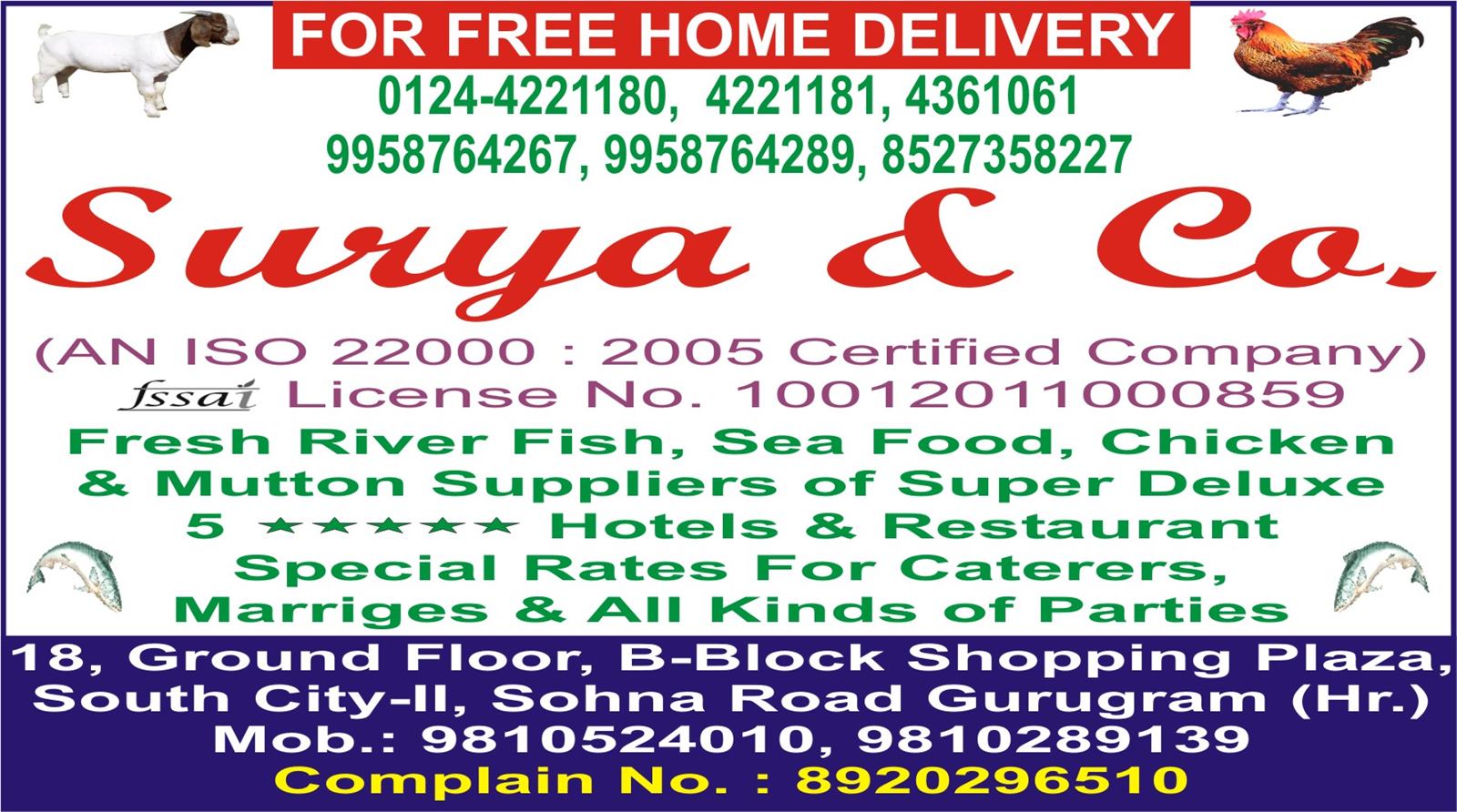 SURYA & CO.